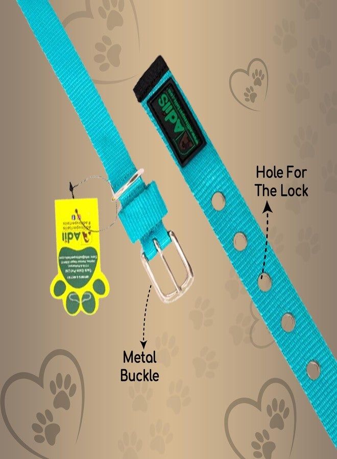 ADIL'S Nylon Dog Collar,Adjustable Metal Buckle With D-Ring Width: 25Mm Pet Collars For Small,Medium&Large Dog,14 Color Options,Size: L,Teal - Image 2
